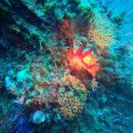DCIM100GOPROGP010636.JPG