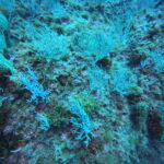 DCIM100GOPROGP010637.JPG