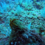 DCIM100GOPROGP010638.JPG