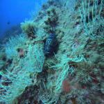 DCIM100GOPROGP010641.JPG
