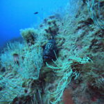 DCIM100GOPROGP010642.JPG