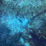 DCIM100GOPROGP010643.JPG