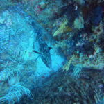 DCIM100GOPROGP010644.JPG