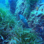 DCIM100GOPROGP010645.JPG