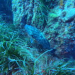 DCIM100GOPROGP010646.JPG