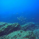 DCIM100GOPROGP010650.JPG