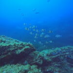 DCIM100GOPROGP010651.JPG