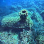 DCIM100GOPROGP010657.JPG