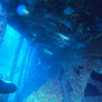 DCIM100GOPROGP010664.JPG