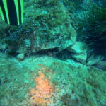 DCIM100GOPROGP010671.JPG