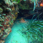 DCIM100GOPROGP010675.JPG