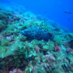 DCIM100GOPROGP010684.JPG
