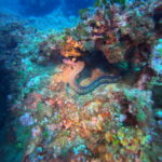 DCIM100GOPROGP010721.JPG