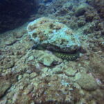 DCIM100GOPROGP010759.JPG