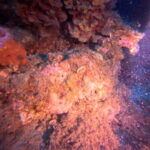 DCIM100GOPROGP010772.JPG