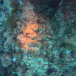 DCIM100GOPROGP010779.JPG
