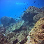 DCIM100GOPROGP010784.JPG