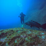 DCIM100GOPROGP010822.JPG
