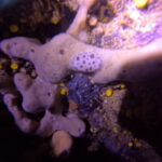 DCIM100GOPROGP010835.JPG